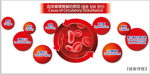 Hovenia dulcis 실제이미지